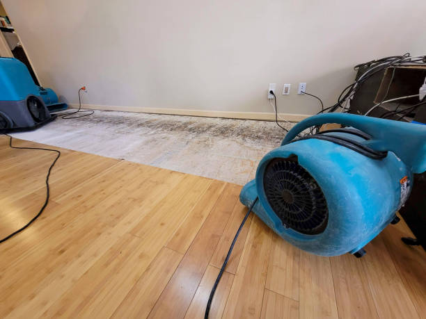 Professional Flood Damage Cleanup technician working in Columbia, IL