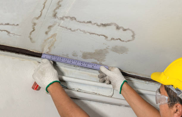 Affordable Flood Damage Cleanup solutions in Columbia, IL